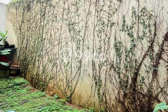 Hunian Nyaman Asri 2 KT Siap Pakai di Bintaro Tangerang Selatan Hunian Nyaman Asri 2 KT Siap Pakai di Bintaro Tangerang Selatan