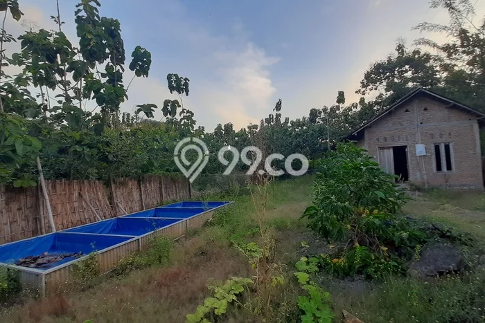 Lahan Dijual Lokasi Gondangrejo, Karanganyar dengan Luas Tanah 750m2 dan Status SHM Lahan Dijual Lokasi Gondangrejo, Karanganyar dengan Luas Tanah 750m2 dan Status SHM