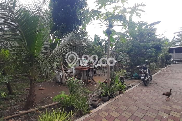 Tanah Dijual Lokasi Strategis di Karanganyar dengan Luas 260m2 Tanah Dijual Lokasi Strategis di Karanganyar dengan Luas 260m2