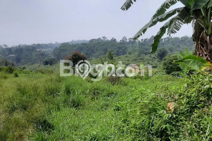 Dijual Tanah Lokasi Prima di Cipanas, Luas 50000m2m², Dekat Cipanas, Cianjur, Cianjur Dijual Tanah Lokasi Prima di Cipanas, Luas 50000m2m², Dekat Cipanas, Cianjur, Cianjur