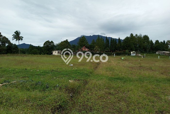 Tanah Siap Bangun Di Megamendung Cisarua Bogor Tanah Siap Bangun Di Megamendung Cisarua Bogor