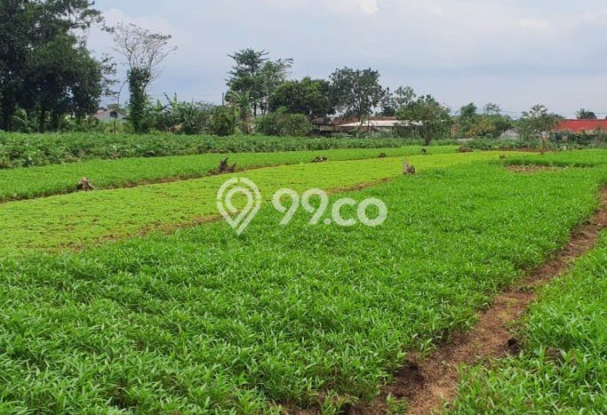 Tanah Kavling Dijual di Tanah Sareal, Bogor dengan Luas Tanah 11000m2 Tanah Kavling Dijual di Tanah Sareal, Bogor dengan Luas Tanah 11000m2