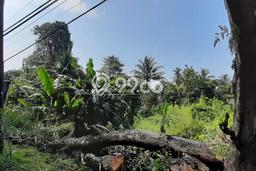 Lahan Dijual Lokasi Strategis di Bogor dengan Luas 985m2 Lahan Dijual Lokasi Strategis di Bogor dengan Luas 985m2