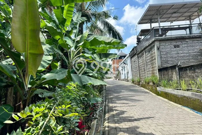 Jarang Ada! Tanah di Payangan Punya Luas 230m2 SHM Jarang Ada! Tanah di Payangan Punya Luas 230m2 SHM