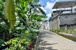 Jarang Ada! Tanah di Payangan Punya Luas 230m2 SHM Jarang Ada! Tanah di Payangan Punya Luas 230m2 SHM