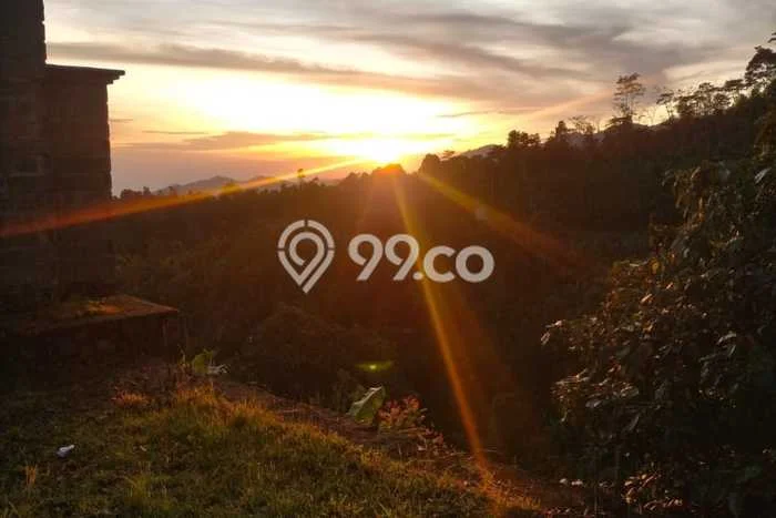 Lahan untuk Dijual Lokasi Sukasada, Buleleng Luas 65120m2 SHM Lahan untuk Dijual Lokasi Sukasada, Buleleng Luas 65120m2 SHM
