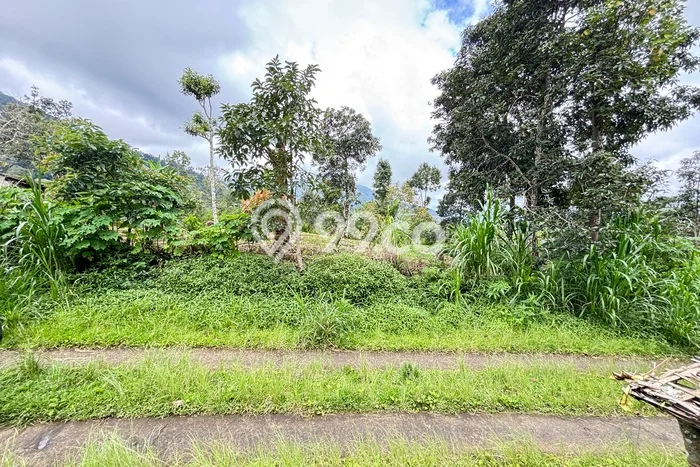 Kavling Tanah di Banjar Dijual Luas 10000m2 Legalitas SHM Kavling Tanah di Banjar Dijual Luas 10000m2 Legalitas SHM