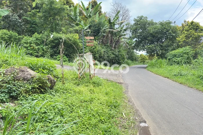 Kavling Tanah di Banjar Dijual Luas 10000m2 Legalitas SHM Kavling Tanah di Banjar Dijual Luas 10000m2 Legalitas SHM