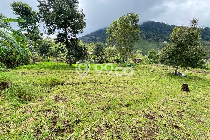 Kavling Tanah di Banjar Dijual Luas 10000m2 Legalitas SHM Kavling Tanah di Banjar Dijual Luas 10000m2 Legalitas SHM