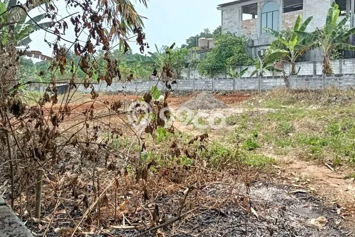 Tanah Dijual di Bogor Seluas 2000m2 Strategis Tanah Dijual di Bogor Seluas 2000m2 Strategis