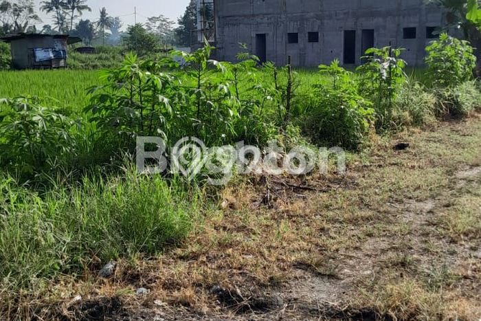 Tanah Komersial Dijual di Ngaglik Sleman 520m2 Tanah Komersial Dijual di Ngaglik Sleman 520m2