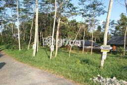 Tanah Dijual di Sleman Seluas 2545m2 Strategis Tanah Dijual di Sleman Seluas 2545m2 Strategis