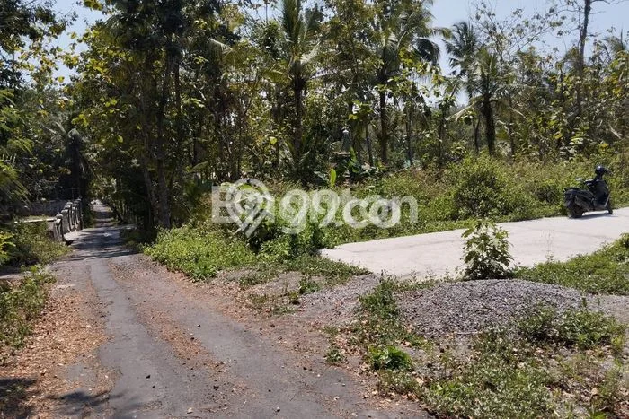 Tanah di Wates, Kulon Progo Luas 124m2 Dijual Segera Tanah di Wates, Kulon Progo Luas 124m2 Dijual Segera