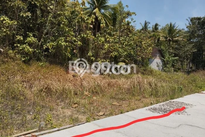 Tanah di Wates, Kulon Progo Luas 124m2 Dijual Segera Tanah di Wates, Kulon Progo Luas 124m2 Dijual Segera