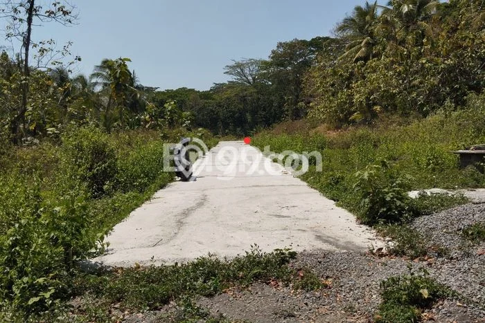Tanah di Wates, Kulon Progo Luas 124m2 Dijual Segera Tanah di Wates, Kulon Progo Luas 124m2 Dijual Segera