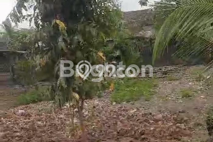 Kavling Tanah di Pakem Dijual Luas 700m2 Legalitas SHM Kavling Tanah di Pakem Dijual Luas 700m2 Legalitas SHM