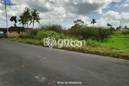 Tanah Kavling untuk Disewa di Godean Sleman 3238m2 Tanah Kavling untuk Disewa di Godean Sleman 3238m2