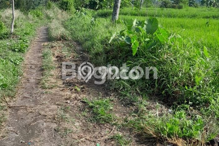 Tanah Komersial Dijual di Ngaglik Sleman 520m2 Tanah Komersial Dijual di Ngaglik Sleman 520m2