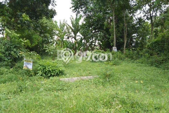 Lahan Investasi Lokasi Manisrenggo Klaten SHM Lahan Investasi Lokasi Manisrenggo Klaten SHM
