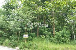 Untuk Dijual Tanah di Prambanan Sleman Luas 1011m2 SHM Untuk Dijual Tanah di Prambanan Sleman Luas 1011m2 SHM