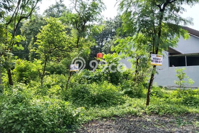 Tanah di Kalasan, Sleman Luas 906m2 Dijual Segera Tanah di Kalasan, Sleman Luas 906m2 Dijual Segera