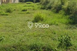 Lahan Kosong Dijual di Sleman dengan Area 1960m2 Lahan Kosong Dijual di Sleman dengan Area 1960m2