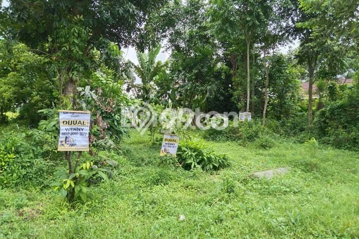 Lahan Investasi Lokasi Manisrenggo Klaten SHM Lahan Investasi Lokasi Manisrenggo Klaten SHM