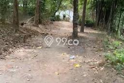 Lahan Investasi Lokasi Sedayu Bantul SHM Lahan Investasi Lokasi Sedayu Bantul SHM