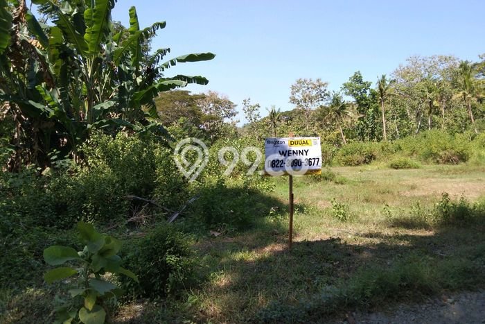 Tanah untuk Dijual di Wates Kulon Progo Luas 1616m2 Tanah untuk Dijual di Wates Kulon Progo Luas 1616m2