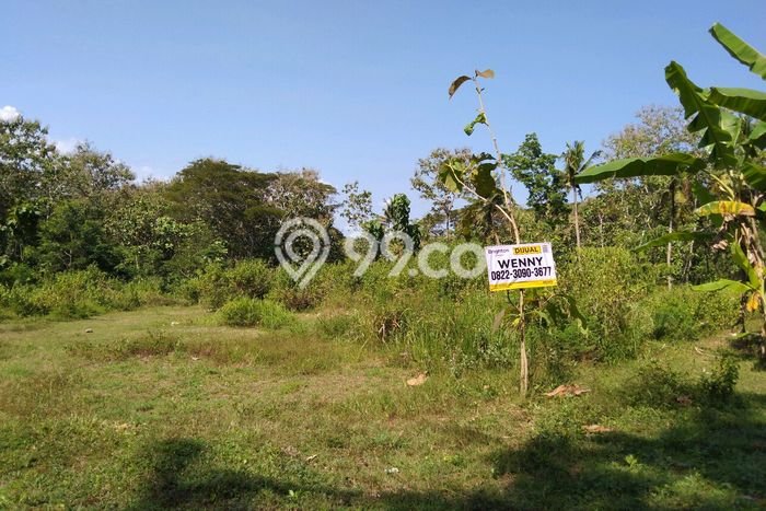 Tanah untuk Dijual di Wates Kulon Progo Luas 1616m2 Tanah untuk Dijual di Wates Kulon Progo Luas 1616m2