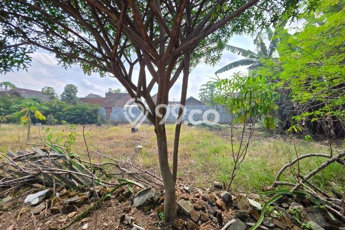 Jarang Ada! Tanah di Kedungkandang Punya Luas 1237m2 SHM Jarang Ada! Tanah di Kedungkandang Punya Luas 1237m2 SHM