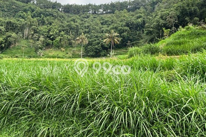 Kavling Tanah Dijual di Bumiaji, Batu, Luas 1004m2 Area Strategis Kavling Tanah Dijual di Bumiaji, Batu, Luas 1004m2 Area Strategis
