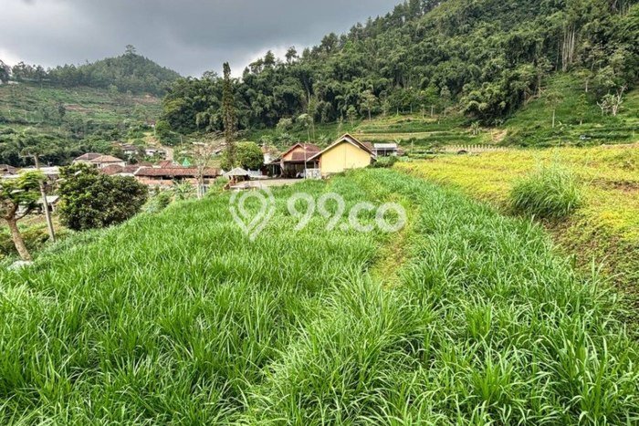 Kavling Tanah Dijual di Bumiaji, Batu, Luas 1004m2 Area Strategis Kavling Tanah Dijual di Bumiaji, Batu, Luas 1004m2 Area Strategis