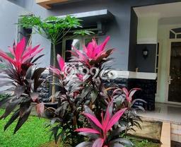 Jual Rumah Modern 3 KT di Kota Wisata, Bogor Jual Rumah Modern 3 KT di Kota Wisata, Bogor