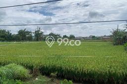Kavling Tanah Dijual di Babelan, Bekasi, Luas 11700m2 Area Strategis Kavling Tanah Dijual di Babelan, Bekasi, Luas 11700m2 Area Strategis