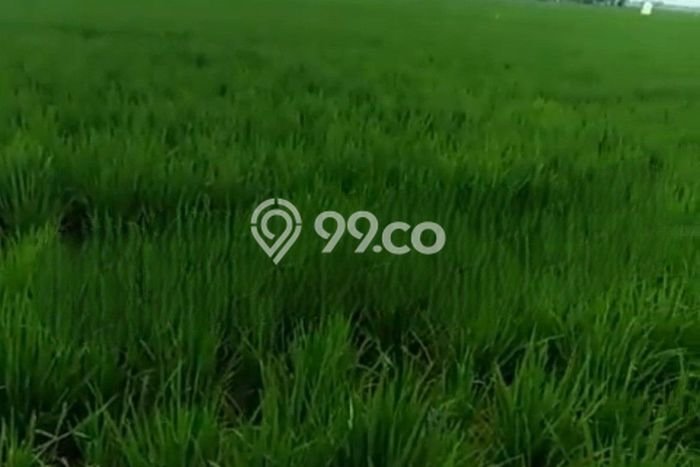Lahan Investasi Lokasi Karawang Barat Karawang SHM Lahan Investasi Lokasi Karawang Barat Karawang SHM