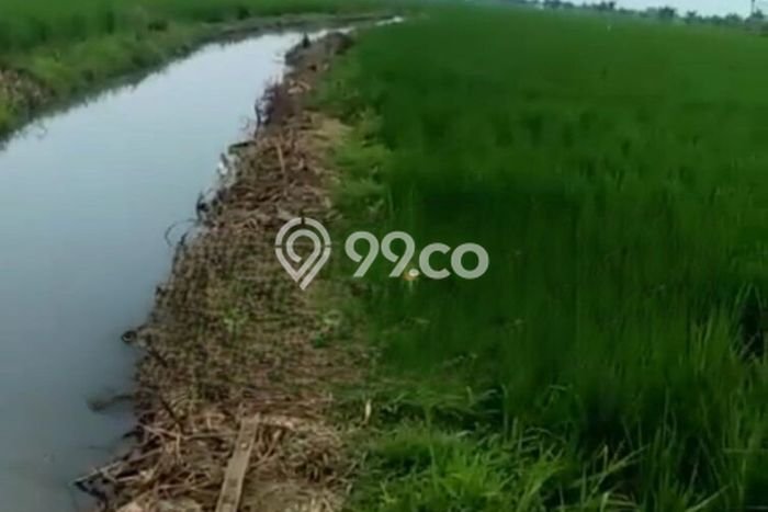 Lahan Investasi Lokasi Karawang Barat Karawang SHM Lahan Investasi Lokasi Karawang Barat Karawang SHM
