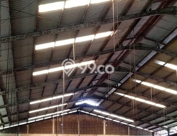 Unit Gudang Disewa Lokasi Beji, Pasuruan Spesifikasi Luas Bangunan 5000m2 Unit Gudang Disewa Lokasi Beji, Pasuruan Spesifikasi Luas Bangunan 5000m2
