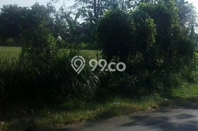 Untuk Dijual Tanah di Probolinggo, Luas 1530m2 SHM Untuk Dijual Tanah di Probolinggo, Luas 1530m2 SHM