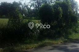 Untuk Dijual Tanah di Probolinggo, Luas 1530m2 SHM Untuk Dijual Tanah di Probolinggo, Luas 1530m2 SHM