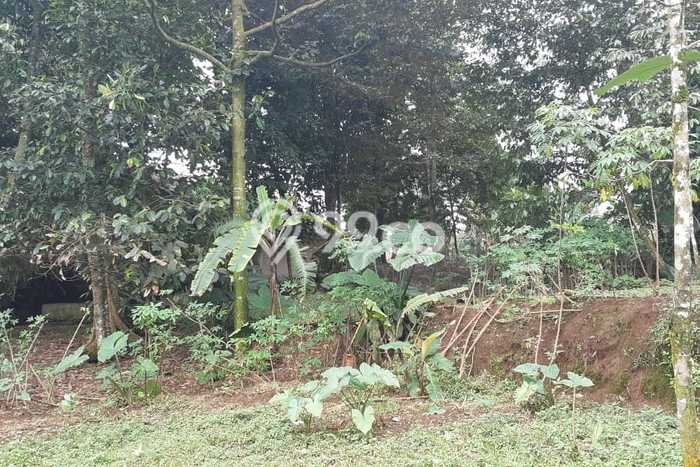 Tanah Dijual Area Strategis di Ciapus Bogor 3176m2 Tanah Dijual Area Strategis di Ciapus Bogor 3176m2