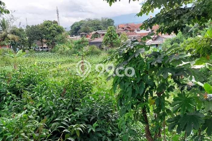 Untuk Dijual Tanah 2778m2 di Sindang Barang, Bogor Untuk Dijual Tanah 2778m2 di Sindang Barang, Bogor