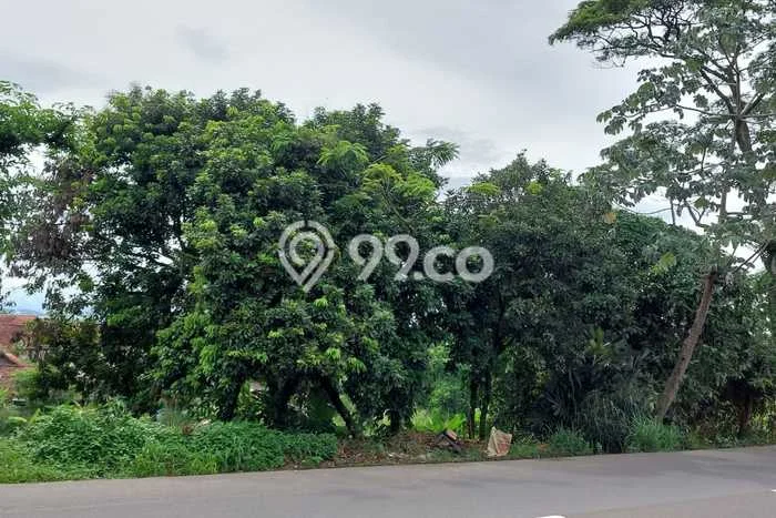 Untuk Dijual Tanah 2778m2 di Sindang Barang, Bogor Untuk Dijual Tanah 2778m2 di Sindang Barang, Bogor