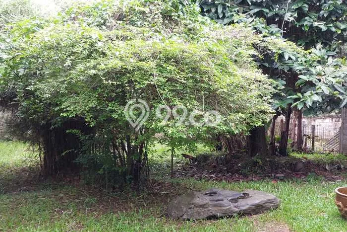 Tanah Kavling Dijual di Cipaku, Bogor dengan Luas Tanah 1003m2 Tanah Kavling Dijual di Cipaku, Bogor dengan Luas Tanah 1003m2