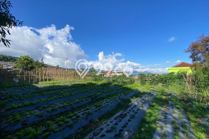 Lahan Investasi Lokasi Lembang Bandung Barat SHM Lahan Investasi Lokasi Lembang Bandung Barat SHM
