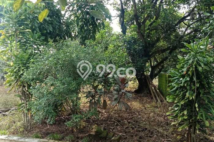 Tanah Siap Bangun Dijual di Subang Punya Luas 3000m2 Tanah Siap Bangun Dijual di Subang Punya Luas 3000m2