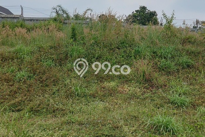Tanah Dijual Lokasi Prigen, Pasuruan Luas 136m2 Legalitas Aman Tanah Dijual Lokasi Prigen, Pasuruan Luas 136m2 Legalitas Aman