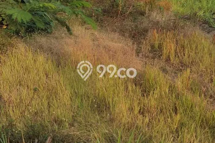 Lahan Investasi Lokasi Puri Mojokerto SHM Lahan Investasi Lokasi Puri Mojokerto SHM