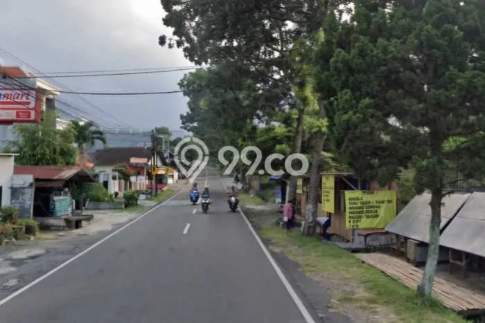 Tanah Kavling untuk Dijual di Prigen Pasuruan 3605m2 Tanah Kavling untuk Dijual di Prigen Pasuruan 3605m2