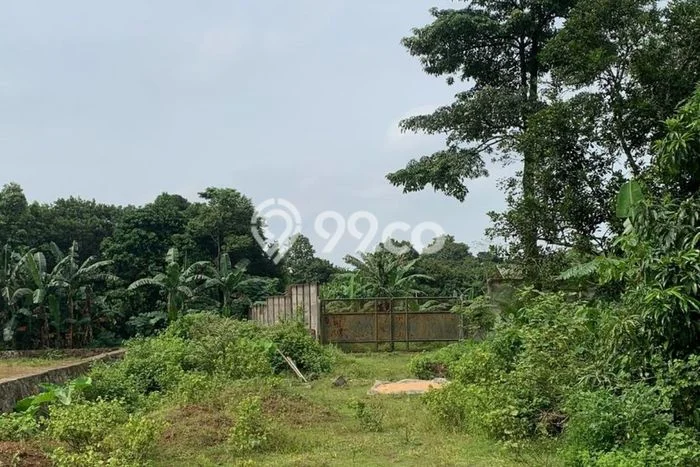 Lahan untuk Dijual Lokasi Cikeusal, Serang Luas 9013m2 SHM Lahan untuk Dijual Lokasi Cikeusal, Serang Luas 9013m2 SHM